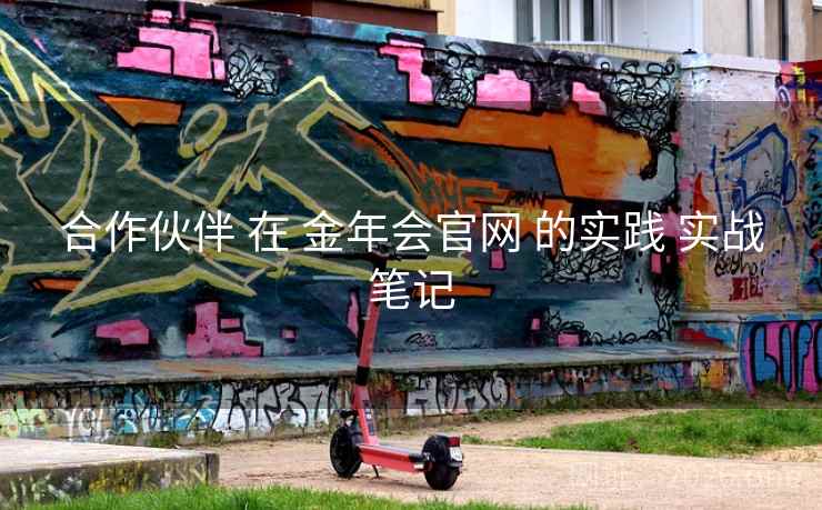 合作伙伴 在 金年会官网 的实践 实战笔记