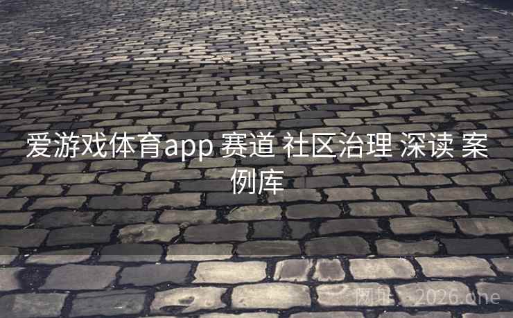 爱游戏体育app 赛道 社区治理 深读 案例库