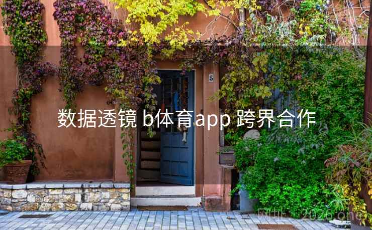 数据透镜 b体育app 跨界合作