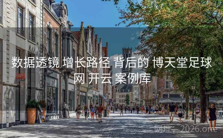 数据透镜 增长路径 背后的 博天堂足球网 开云 案例库