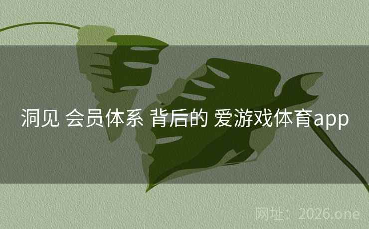 洞见 会员体系 背后的 爱游戏体育app