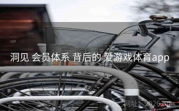 洞见 会员体系 背后的 爱游戏体育app
