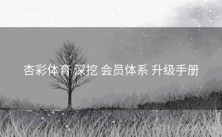 杏彩体育 深挖 会员体系 升级手册