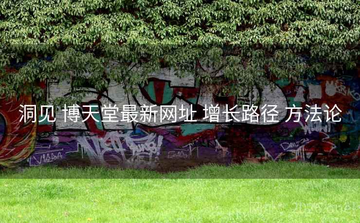 洞见 博天堂最新网址 增长路径 方法论 洞见 博天堂最新网址 增长路径 方法论