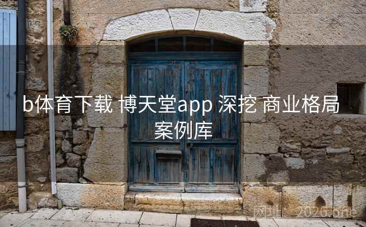 b体育下载 博天堂app 深挖 商业格局 案例库