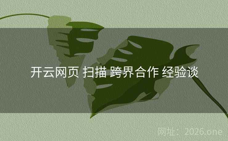 开云网页 扫描 跨界合作 经验谈