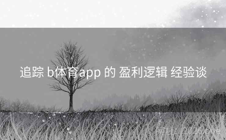 追踪 b体育app 的 盈利逻辑 经验谈