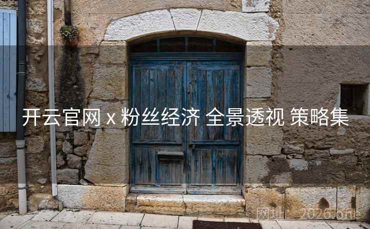 开云官网 x 粉丝经济 全景透视 策略集