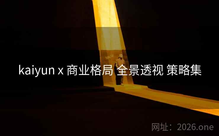 kaiyun x 商业格局 全景透视 策略集