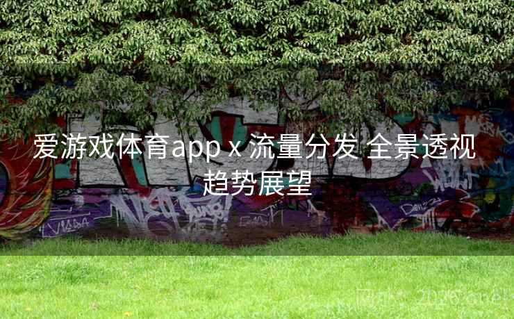 爱游戏体育app x 流量分发 全景透视 趋势展望