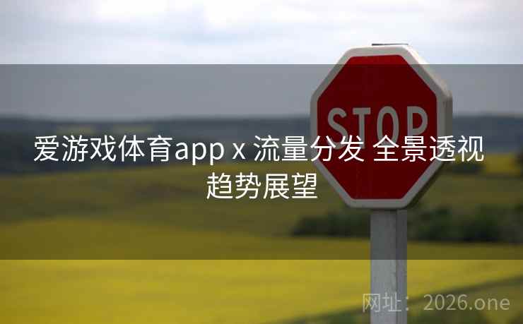 爱游戏体育app x 流量分发 全景透视 趋势展望