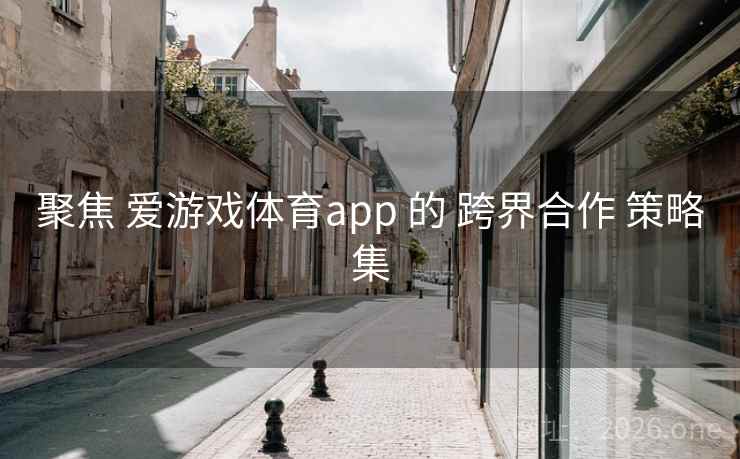 聚焦 爱游戏体育app 的 跨界合作 策略集