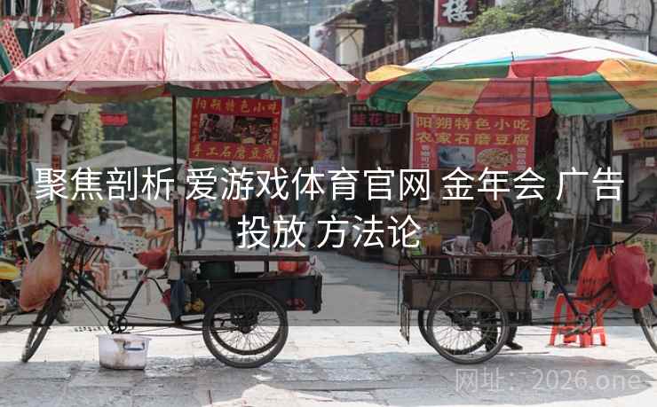 聚焦剖析 爱游戏体育官网 金年会 广告投放 方法论
