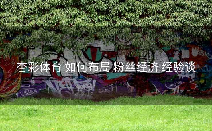 杏彩体育 如何布局 粉丝经济 经验谈
