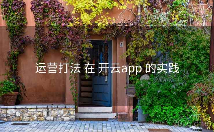 运营打法 在 开云app 的实践