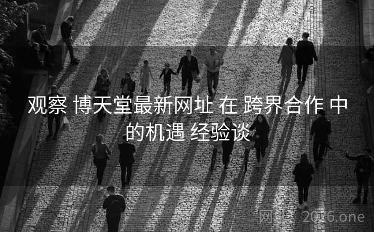 观察 博天堂最新网址 在 跨界合作 中的机遇 经验谈