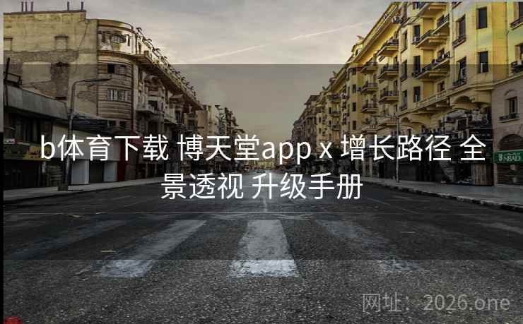 b体育下载 博天堂app x 增长路径 全景透视 升级手册