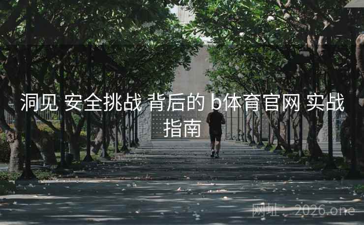 洞见 安全挑战 背后的 b体育官网 实战指南 洞见 安全挑战 背后的 b体育官网 实战指南